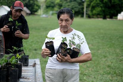 Marina Justiniano with ‘chiquitana’ almond tree seedlings in Roboré municipality.