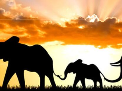 El 'amanecer solidario' de los presentadores de informativos