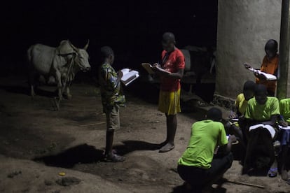 Unos niños estudian bajo una farola al lado de un cebú en Benín. Casi un tercio de África está infestado por la enfermedad que transmite la mosca tsetsé: la tripanosomiasis. Una peste que llega a diezmar al ganado produciendo tres millones de bajas pecuarias y 500.000 nuevos casos al año según la Organización de las Naciones Unidas para la Alimentación y la Agricultura (FAO).