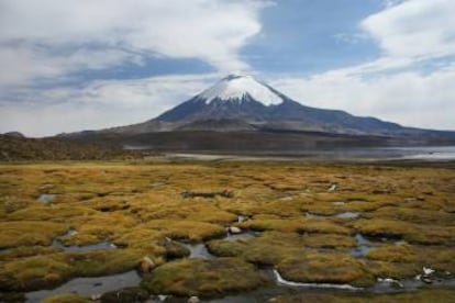 El lago Chungar&aacute;, con el volc&aacute;n Parinacota al fondo.