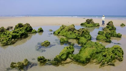 La playa de Trengandin, en Noja (Cantabria). 