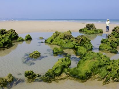 La playa de Trengandin, en Noja (Cantabria). 