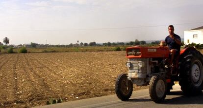 Un campo entre Catral y Dolores, en la Vega Baja.