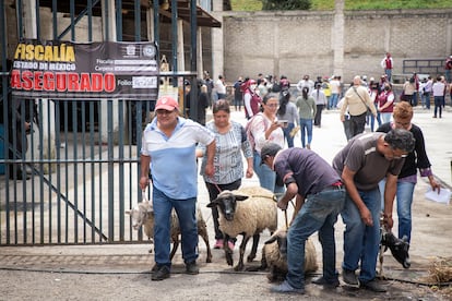 Algunos pobladores de Acatitlán acuden a la entrega de borregos incautados.