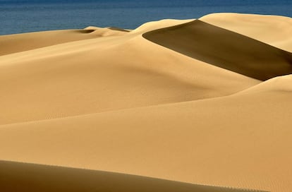 Reserva Natural Especial de las dunas de Maspalomas (Gran Canaria)