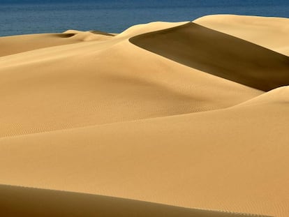 Reserva Natural Especial de las dunas de Maspalomas (Gran Canaria)