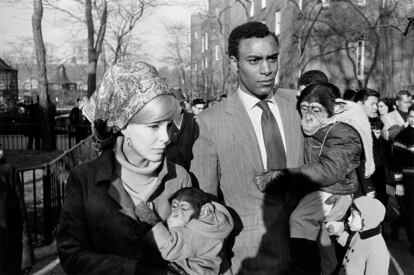 Zoo de Central Park, Nueva York, 1967.