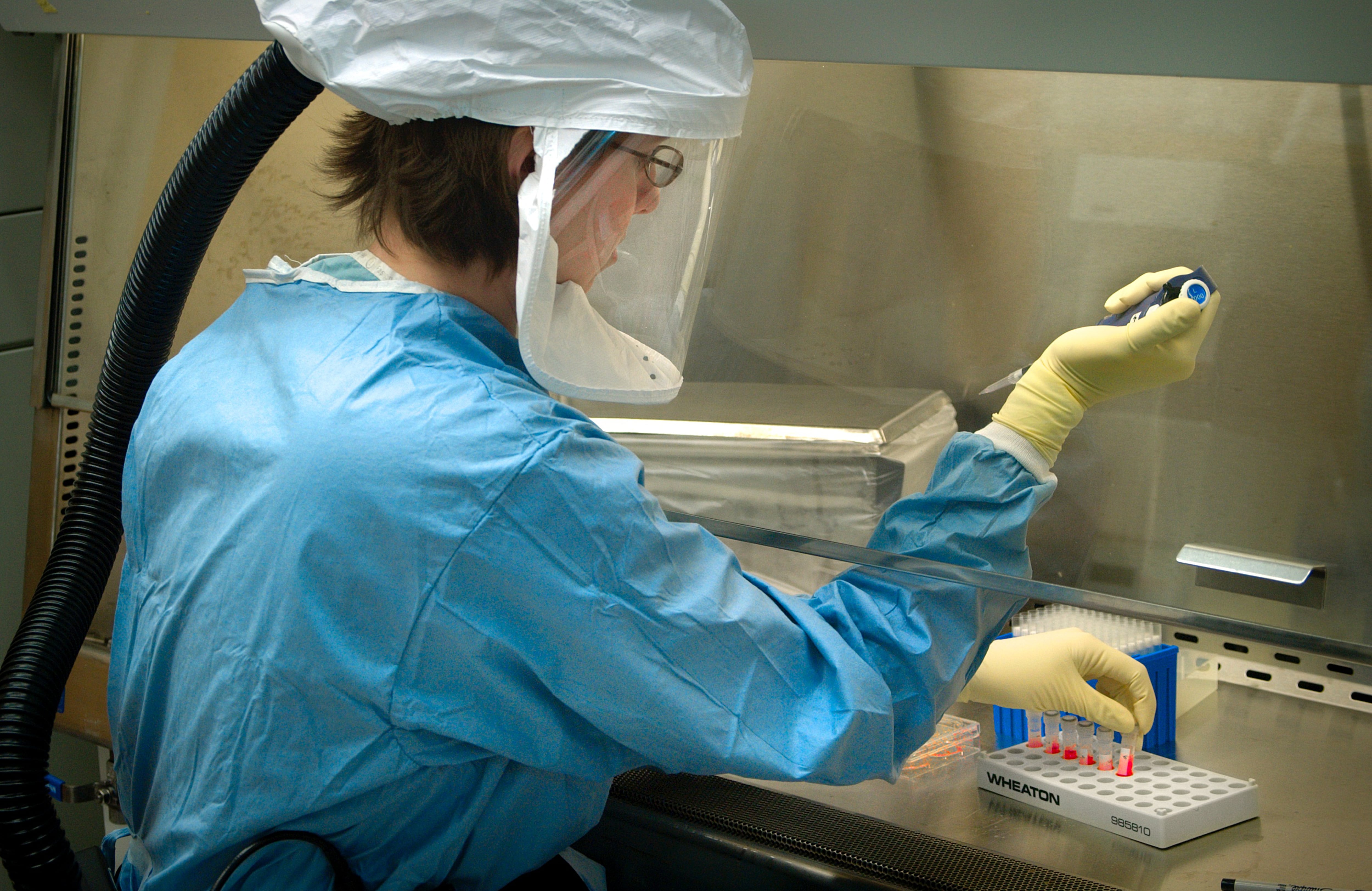 Una científica, en un laboratorio, en 2005.