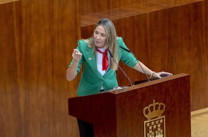 La portavoz del PSOE en la Asamblea, Mar Espinar, este viernes. 