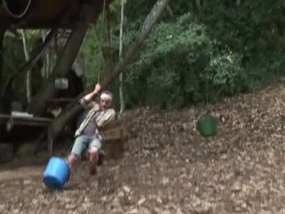 Gonzalo de Castro y los osos