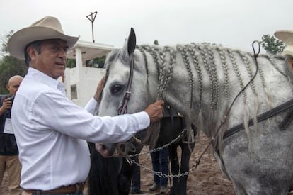 Jaime Rodríguez 'El Bronco' prepara su caballo para ir a votar.