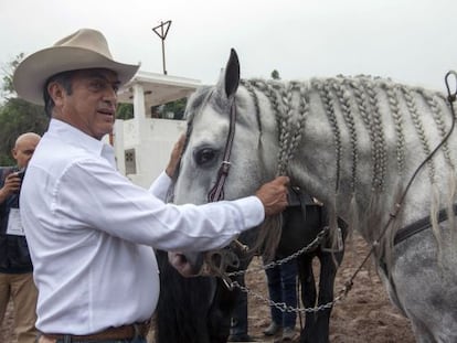 Jaime Rodr&iacute;guez &#039;El Bronco&#039; prepara su caballo para ir a votar. 