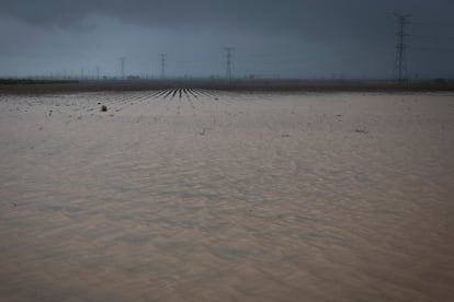 Terrenos agrícolas inundados por las lluvias, este lunes en la localidad sevillana de Brenes.