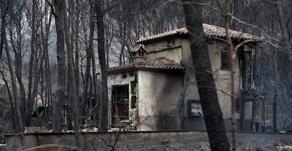 A house burnt in the fires in Monte Pinar.