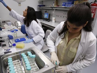 Dos t&eacute;cnicas de laboratorio trabajan en Biomedal.&nbsp;