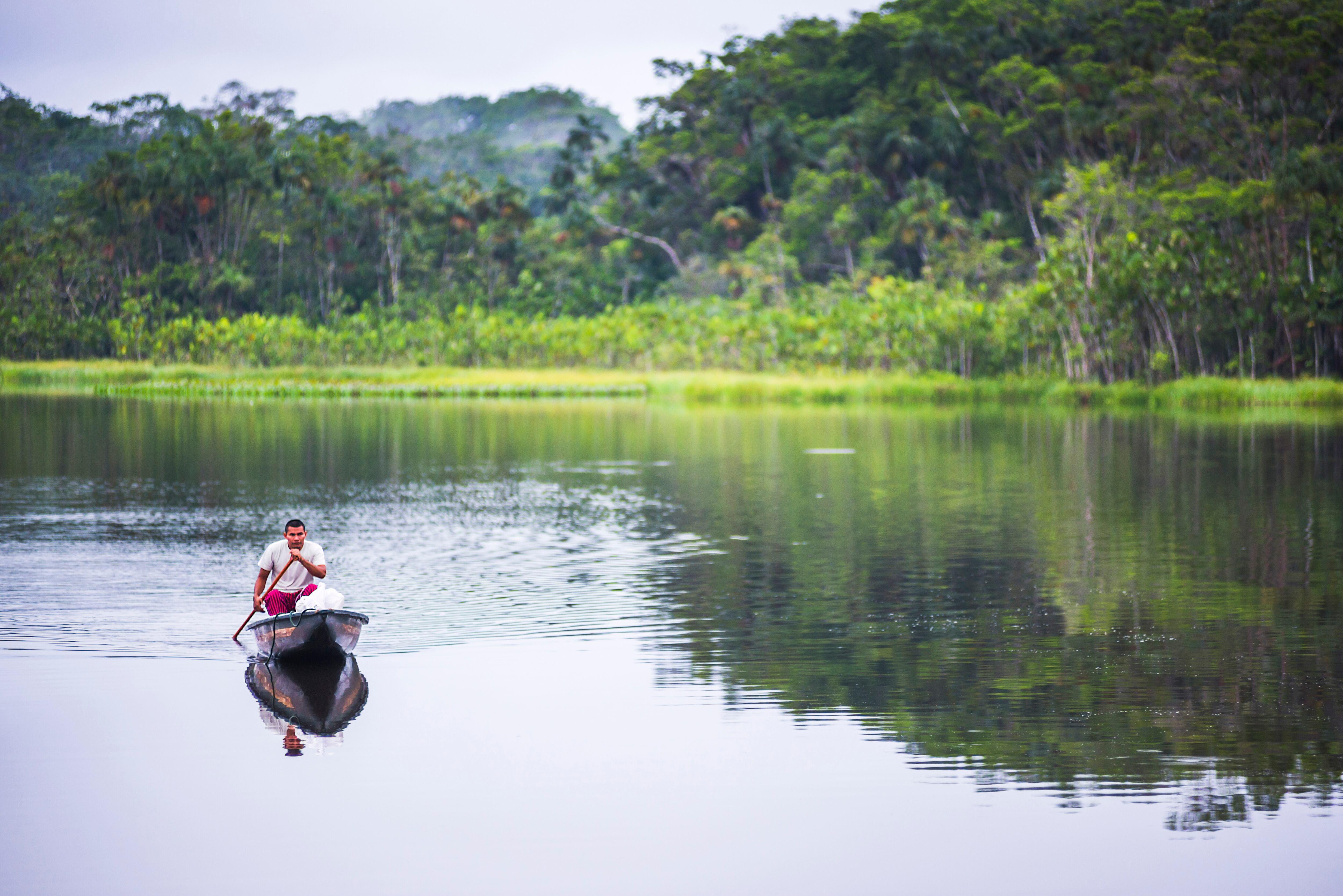 Ecuador hace una nueva conversión de deuda para destinar 460 millones de dólares a su Amazonia