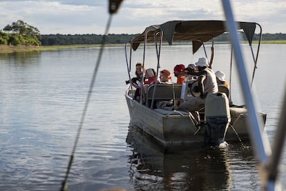 Avistamiento de animales desde una barcaza por el Chobe/Zambeze.