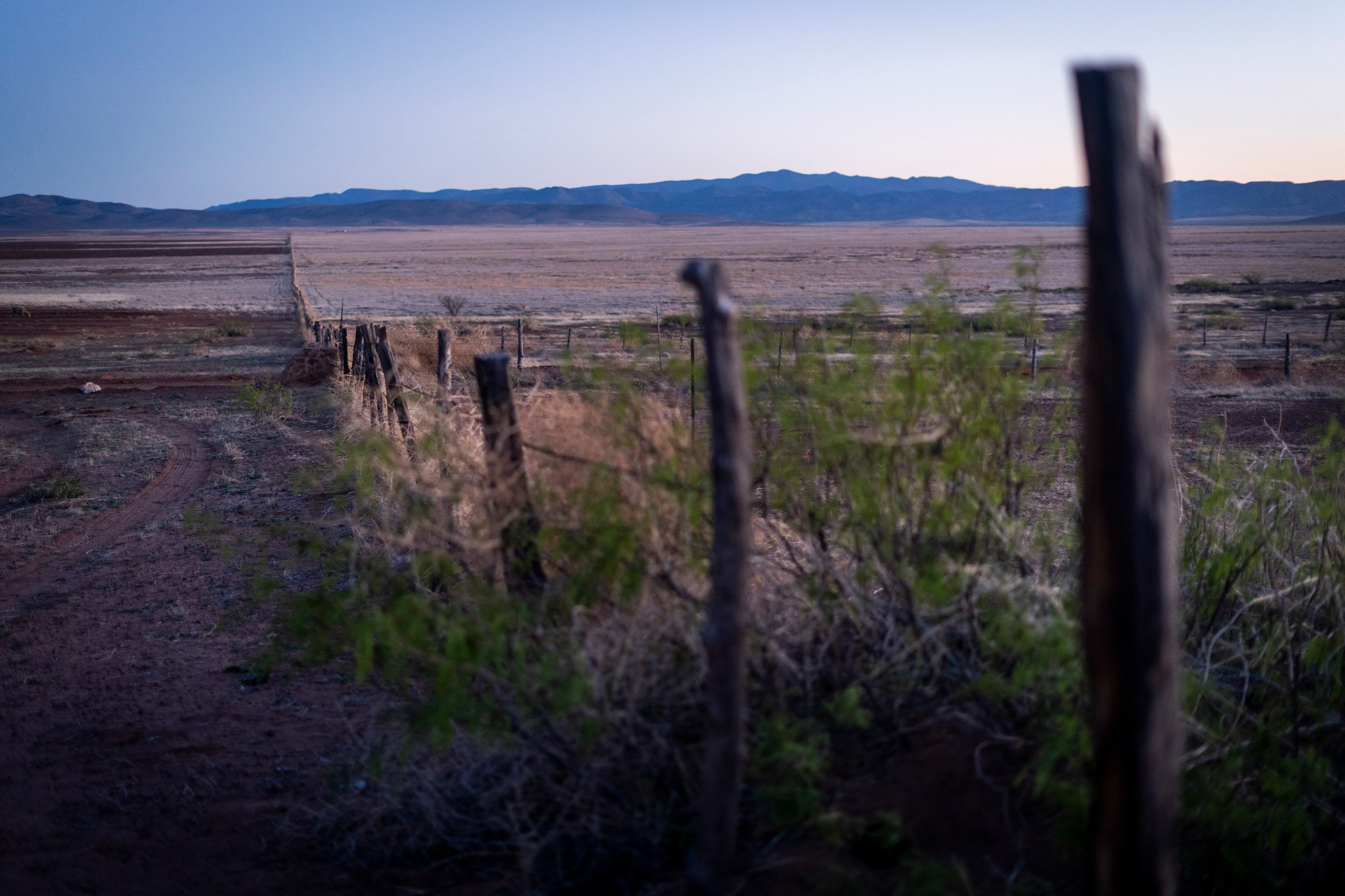 Los pastizales deteriorados de la reserva, al atardecer, en abril de 2024.