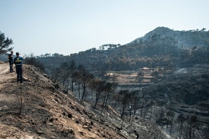 Dos operarios de emergencias de las Islas Baleares observan el monte devastado por el incendio.