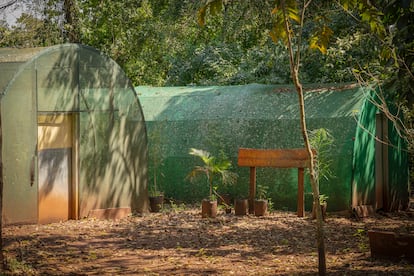 Vivero de la comunidad Jasy Porã, en Iguazú, el 10 de septiembre.