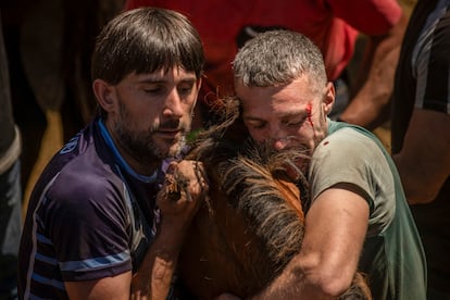 Dos 'aloitadores', uno de ellos con sangre en la cara, retienen a un caballo salvaje. 