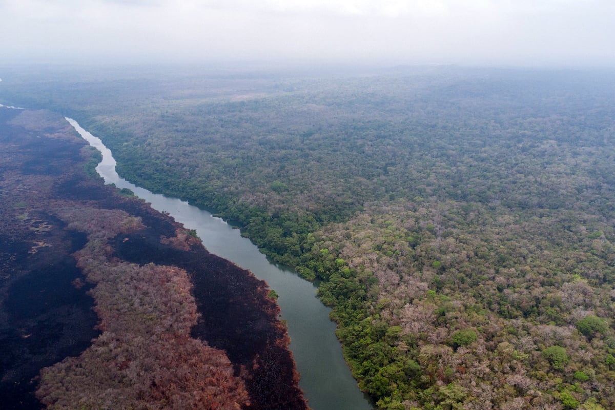 Laguna del Tigre: ¿puede el fin del petróleo en la selva maya abrir paso a un desarrollo con recuperación ambiental?