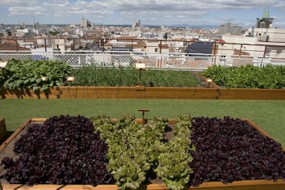 El restaurante Las Raíces está en lo alto del madrileño hotel Wellington.