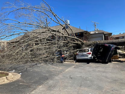 Un árbol caído sobre viviendas y autos. Más de dos mil edificaciones quedaron dañadas en la capital de Arkansas.