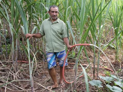 Sebastiao Gonzaga utiliza agua tratada de desechos para regar.