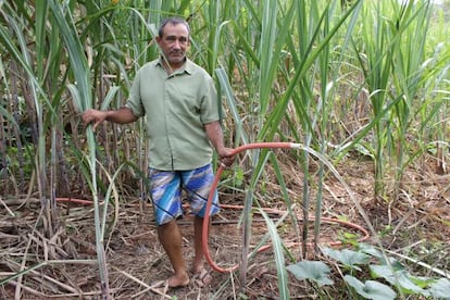 Sebastiao Gonzaga utiliza agua tratada de desechos para regar.