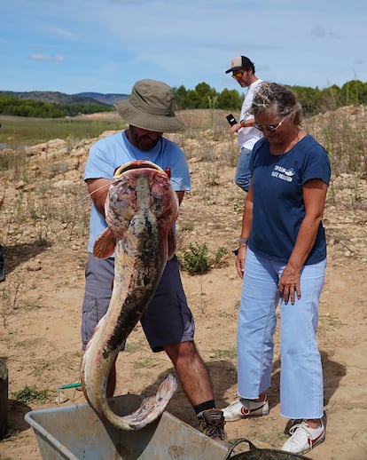 Charo Durán, jefa del Calidad de las Aguas de la Confederación Hidrográfica del Júcar con un siluro en el embalse de María Cristina (Castellón) este jueves. 