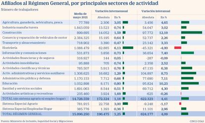 Afiliados al Régimen General por sectores