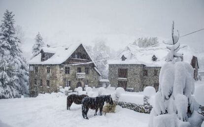 La nieve llega al Pirineo.