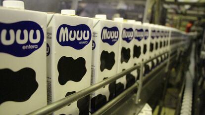 Cartones de la nueva marca de leche Muuu.