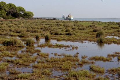 El río Guadalquivir, a su paso por el parque de Doñana.