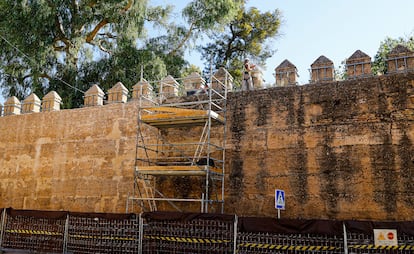 Trabajos de limpieza y consolidación de la muralla que une el Arco de la Macarena con la puerta de Córdoba, este miércoles en Sevilla. / ALEJANDRO RUESGA