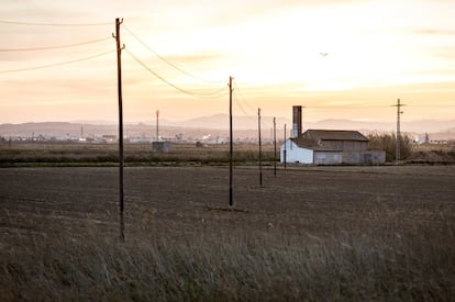 Los motores marcan la separación entre las zonas bajas donde queda agua mientras se vací­a y las zonas altas donde ya se ha secado los arrozales como en la foto.