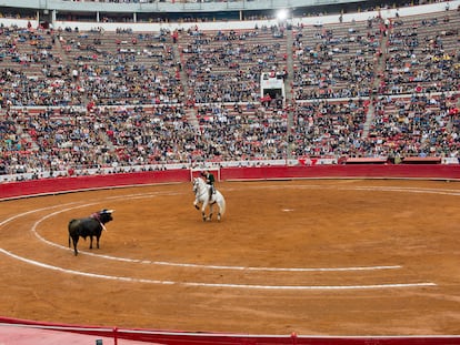 Una corrida de toros en la Plaza México, el 3 de noviembre de 2019.