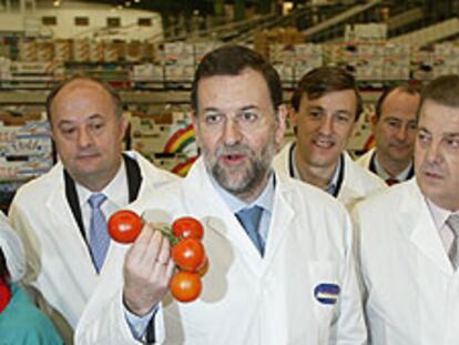 Mariano Rajoy, en una cooperativa agrícola de El Ejido (Almería).