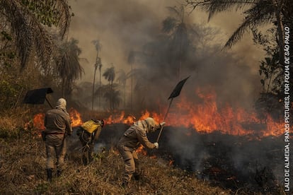 Bombeiros combatem incêndio na fazenda São Francisco de Perigara, no Brasil, onde vive uma das maiores populações de araras azuis. Cerca de 92% da área da fazenda, a maior parte destinada à conservação, foi destruída por um incêndio. Quase um terço da região do Pantanal –a maior área úmida tropical de pastagens inundadas do mundo, que se estendem por cerca de 140.000 a 160.000 quilômetros quadrados– foi consumida por incêndios ao longo de 2020.