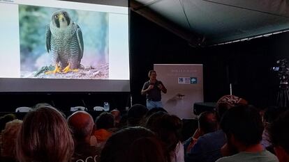 Conferencia sobre halcones en el DBF