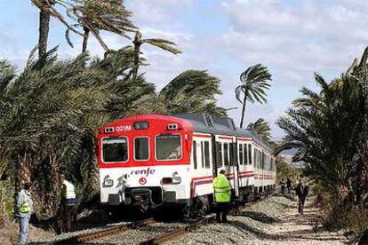 Operarios observan el tren descarrilado en Albatera (Alicante) debido a la caída de una palmera.