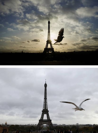 En la parte superior, una paloma vuela frente a la Torre Eiffel, que permaneció cerrada el 15 de noviembre. En la parte inferior, la Torre Eiffel el 9 de noviembre de 2016.