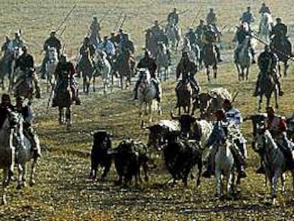 Jinetes montados a caballo conducen a las reses hacia las calle de Cuéllar.