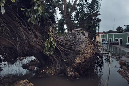 El huracán Delta tocó tierra el miércoles derribando árboles y dejando sin electricidad a algunos centros turísticos.