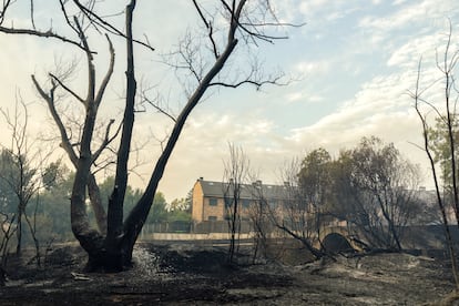 Incendio en Tres Cantos, Madrid. Zona calcinada próxima a la urbanización Soto de Viñuelas, este martes 12 de agosto.