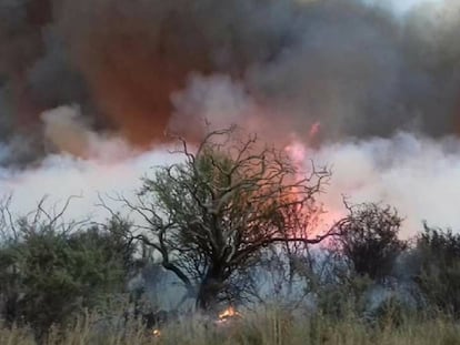 Incendio en la provincia argentina de La Pampa.
