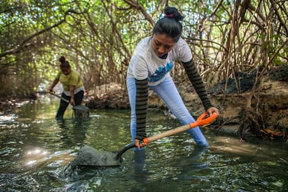 Las mujeres de la cooperativa limpian el canal que comunica ambas lagunas: Pastoría con Palmarito. Con esto esperan ayudar a la oxigenación del agua y favorecer la entrada de peces, y con ello permitir el paso a los pescadores.