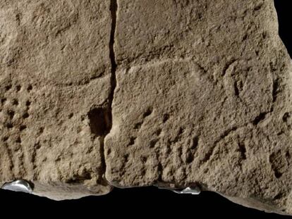 Piedra con un uro grabado hace 38.000 a&ntilde;os. 