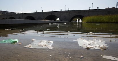 Suciedad en Madrid Río, en el Manzanares, cerca del puente de Segovia.